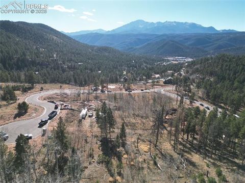 Photo of 1360 Blue Haven Place, Woodland Park, CO 80863 (MLS # 3798079)