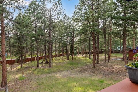 Tiny photo for 435 Pembrook Lane, Woodland Park, CO 80863 (MLS # 4991325)
