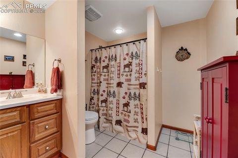 Tiny photo for 435 Pembrook Lane, Woodland Park, CO 80863 (MLS # 4991325)