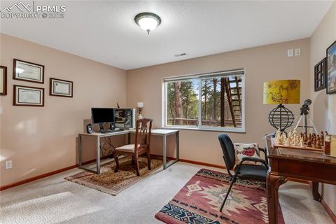 Tiny photo for 435 Pembrook Lane, Woodland Park, CO 80863 (MLS # 4991325)