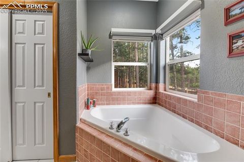 Tiny photo for 435 Pembrook Lane, Woodland Park, CO 80863 (MLS # 4991325)