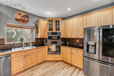 Tiny photo for 435 Pembrook Lane, Woodland Park, CO 80863 (MLS # 4991325)