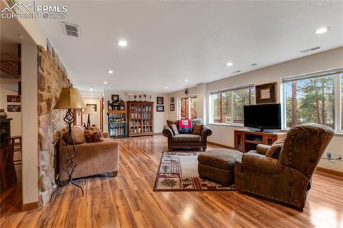 Tiny photo for 435 Pembrook Lane, Woodland Park, CO 80863 (MLS # 4991325)