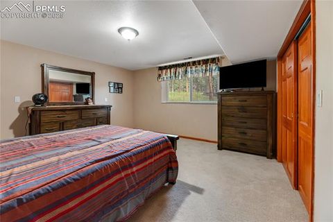 Tiny photo for 435 Pembrook Lane, Woodland Park, CO 80863 (MLS # 4991325)