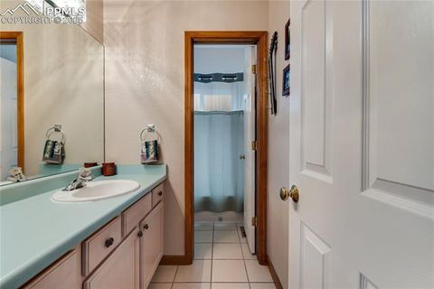Tiny photo for 435 Pembrook Lane, Woodland Park, CO 80863 (MLS # 4991325)