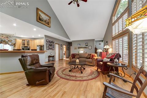 Tiny photo for 435 Pembrook Lane, Woodland Park, CO 80863 (MLS # 4991325)