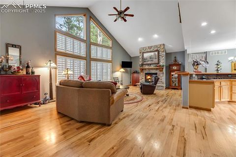 Tiny photo for 435 Pembrook Lane, Woodland Park, CO 80863 (MLS # 4991325)
