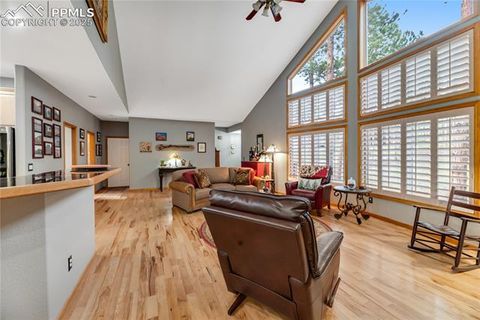 Tiny photo for 435 Pembrook Lane, Woodland Park, CO 80863 (MLS # 4991325)