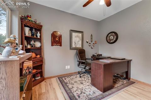 Tiny photo for 435 Pembrook Lane, Woodland Park, CO 80863 (MLS # 4991325)