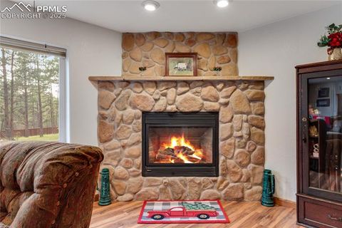Tiny photo for 435 Pembrook Lane, Woodland Park, CO 80863 (MLS # 4991325)