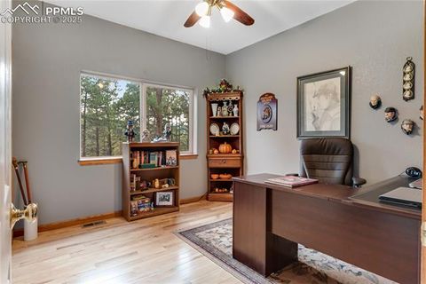 Tiny photo for 435 Pembrook Lane, Woodland Park, CO 80863 (MLS # 4991325)