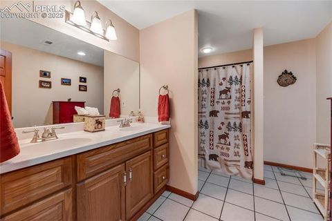 Tiny photo for 435 Pembrook Lane, Woodland Park, CO 80863 (MLS # 4991325)