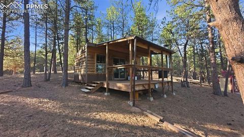 Photo of 163 Ouray Road, Florissant, CO 80816 (MLS # 8623699)