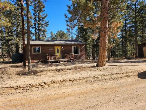 Photo of 252 Blossom Road, Woodland Park, CO 80863 (MLS # R13882953)
