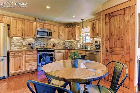 Tiny photo for 140 Dewell Road, Woodland Park, CO 80863 (MLS # 7797792)