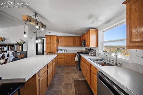 Tiny photo for 10385 Camino Grande Point, Fountain, CO 80817 (MLS # 4656376)