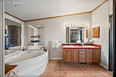 Tiny photo for 10385 Camino Grande Point, Fountain, CO 80817 (MLS # 4656376)