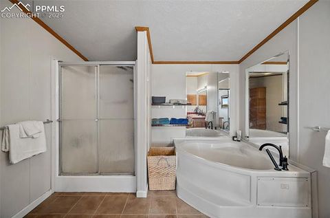 Tiny photo for 10385 Camino Grande Point, Fountain, CO 80817 (MLS # 4656376)