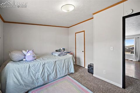 Tiny photo for 10385 Camino Grande Point, Fountain, CO 80817 (MLS # 4656376)