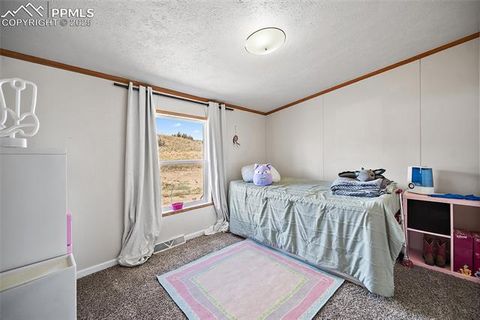 Tiny photo for 10385 Camino Grande Point, Fountain, CO 80817 (MLS # 4656376)