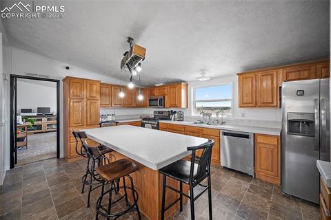 Tiny photo for 10385 Camino Grande Point, Fountain, CO 80817 (MLS # 4656376)