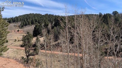 Photo of 170 Valley Road, Divide, CO 80814 (MLS # 4196569)