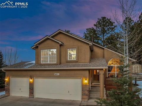 Photo of 681 Misty Pines Circle, Woodland Park, CO 80863 (MLS # 3966814)