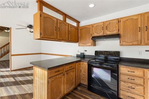 Tiny photo for 1325 Thomas Circle, Woodland Park, CO 80863 (MLS # 6464339)