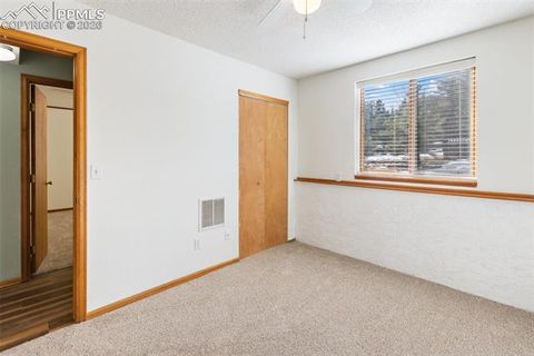 Tiny photo for 1325 Thomas Circle, Woodland Park, CO 80863 (MLS # 6464339)