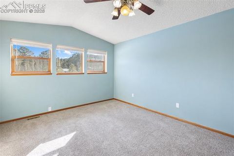 Tiny photo for 1325 Thomas Circle, Woodland Park, CO 80863 (MLS # 6464339)