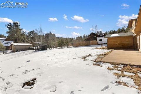 Tiny photo for 1325 Thomas Circle, Woodland Park, CO 80863 (MLS # 6464339)