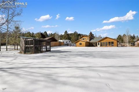 Tiny photo for 1325 Thomas Circle, Woodland Park, CO 80863 (MLS # 6464339)