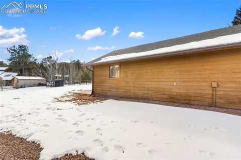 Tiny photo for 1325 Thomas Circle, Woodland Park, CO 80863 (MLS # 6464339)