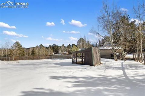 Tiny photo for 1325 Thomas Circle, Woodland Park, CO 80863 (MLS # 6464339)