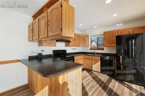 Tiny photo for 1325 Thomas Circle, Woodland Park, CO 80863 (MLS # 6464339)