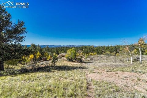 Tiny photo for 145 Crestone Circle, Florissant, CO 80816 (MLS # 1623994)