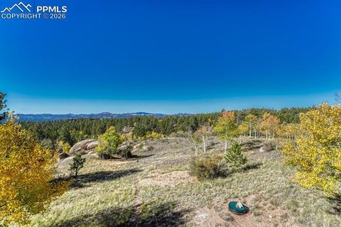 Tiny photo for 145 Crestone Circle, Florissant, CO 80816 (MLS # 1623994)