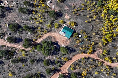 Tiny photo for 145 Crestone Circle, Florissant, CO 80816 (MLS # 1623994)