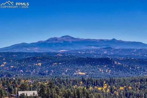 Tiny photo for 145 Crestone Circle, Florissant, CO 80816 (MLS # 1623994)