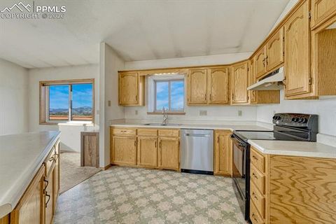 Tiny photo for 145 Crestone Circle, Florissant, CO 80816 (MLS # 1623994)