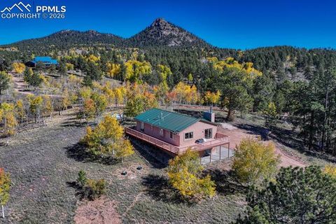 Tiny photo for 145 Crestone Circle, Florissant, CO 80816 (MLS # 1623994)