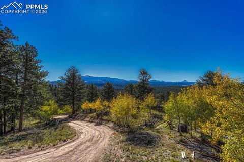 Tiny photo for 145 Crestone Circle, Florissant, CO 80816 (MLS # 1623994)