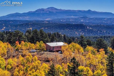 Tiny photo for 145 Crestone Circle, Florissant, CO 80816 (MLS # 1623994)