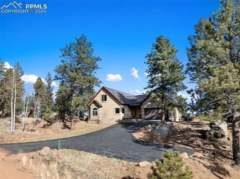146 Conifer Circle Florissant CO 80816