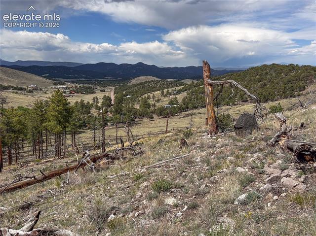 Photo 1 of 13 — H Path, Cotopaxi, CO 81223
