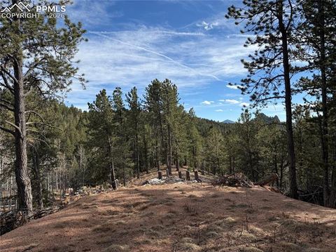 Photo of 162 Eagle Drive, Divide, CO 80813 (MLS # 4930321)