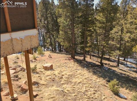Tiny photo for 156 Sildona Trail, Florissant, CO 80816 (MLS # 1279983)