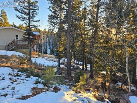 Tiny photo for 156 Sildona Trail, Florissant, CO 80816 (MLS # 1279983)