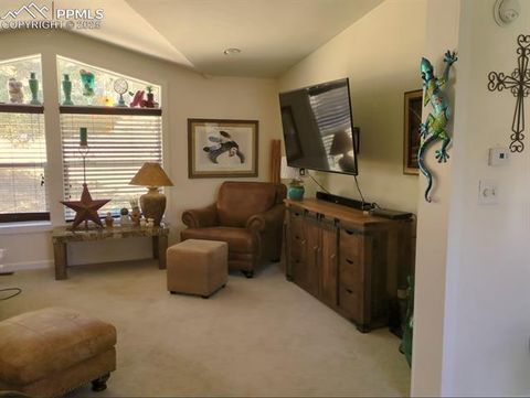 Tiny photo for 156 Sildona Trail, Florissant, CO 80816 (MLS # 1279983)