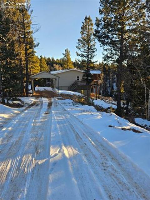 Photo of 156 Sildona Trail, Florissant, CO 80816 (MLS # 1279983)